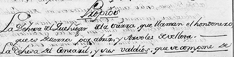 Dehesa Quejigar - Hondonero 1767.jpg